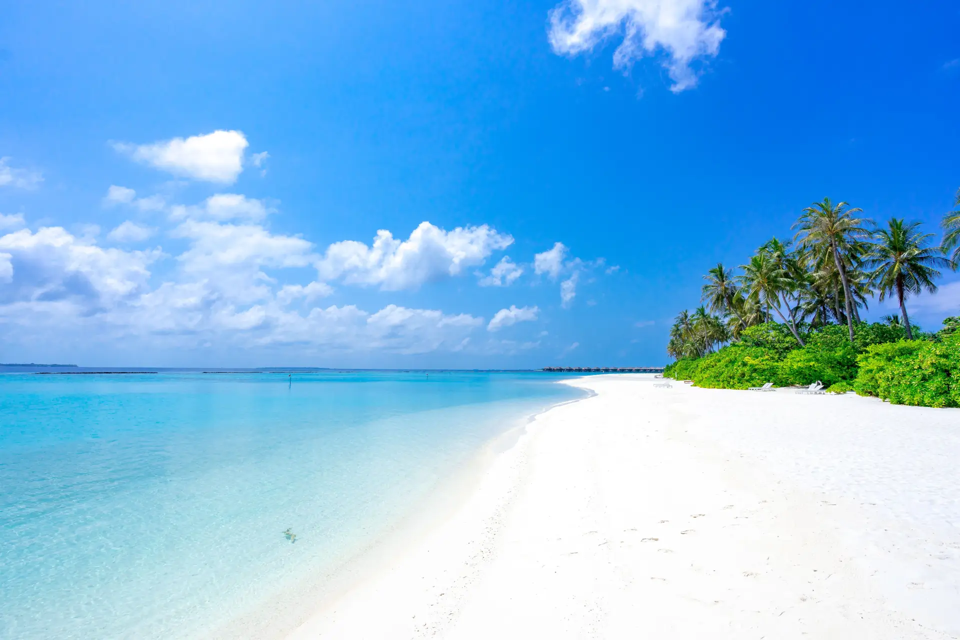 A beautiful beach with white and blue water