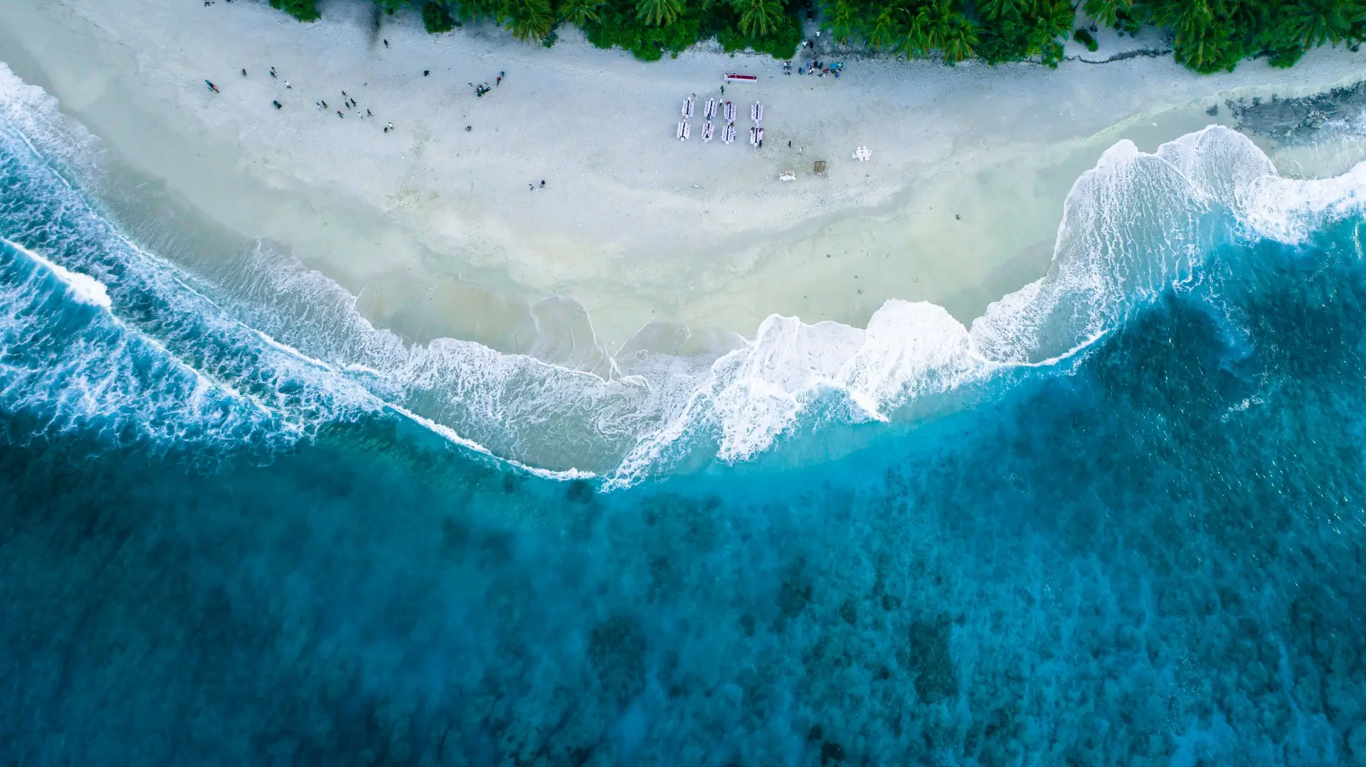 Aerial view of ocean waves crashing on beachfront